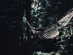 -成都杜甫草堂博物馆