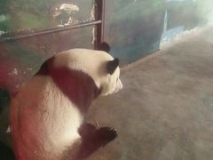 -临沂动植物园