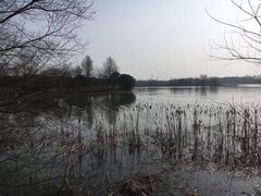 -东湖落雁景区