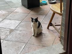 门面-西关竹园(荔枝湾店)