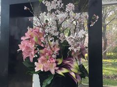 -上海鲜花港