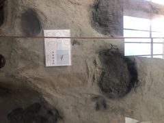 -延庆地质公园博物馆