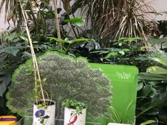 -柏威年大连购物中心
