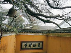 -普陀山慧济禅寺