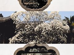 -何园