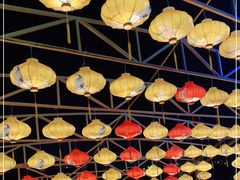 -重庆国际马戏城