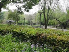 -泰州凤城河风景区-泰山公园