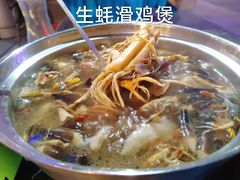 -千岛蚝高压锅生蚝·人参火锅(白云万达店)