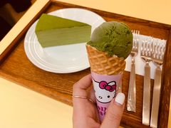 -王守财小山園