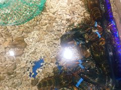 -盒马鲜生(昆城店)