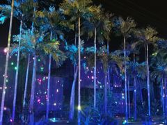 -三亚红色娘子军演艺公园景区