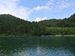 -武陵山森林公园