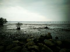 -宝安西湾红树林湿地公园