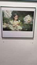 -苹果树儿童摄影工作室
