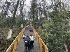 -云碧峰国家森林公园