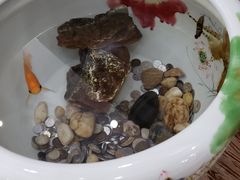 -南磨房食府(燕莎奥特莱斯购物中心店)