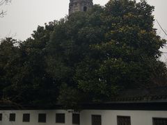 -上海青龙寺