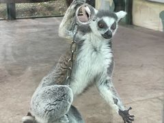 -水上乐园·欢乐世界