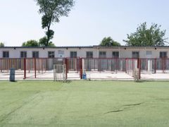-宠物寄养训练学校