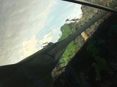 -瑞普利水族馆