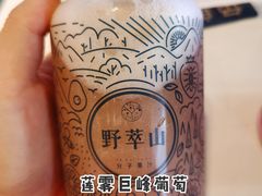 -野萃山·潮汕厚果汁(十亩地店)