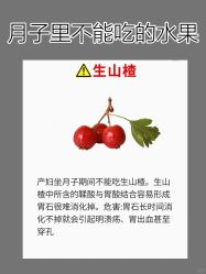 -海豚湾高端月子会所(黄浦店)