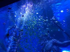 -波塞冬旅游度假区