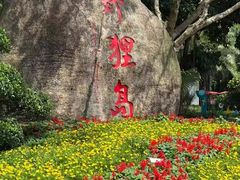 -野狸岛