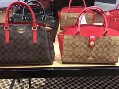 -COACH蔻驰(赛特奥特莱斯店)
