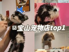 -翊宠yipet猫狗购宠庄园犬舍•猫舍