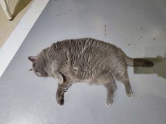 -小时光咖啡馆(开森度假森林店)