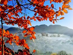 -婺源风景区