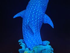 -珠海长隆海洋王国