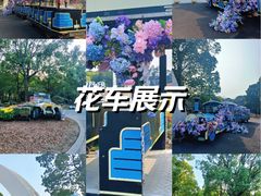 -上海鲜花港