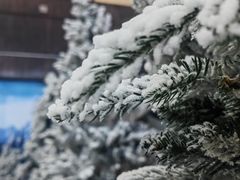 -世界之窗阿尔卑斯冰雪世界