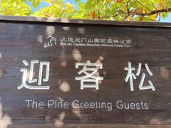 -大连天门山国家森林公园