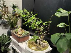 -东方大班·足道·采耳·疗愈SPA(丽都店)