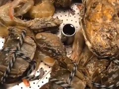 -唐拉雅秀酒店-西锦汇空中BBQ·思创餐厅