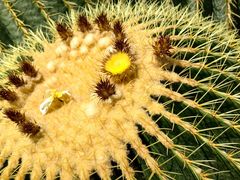 -北京植物园-展览温室