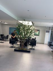 点击看大图 -付军剪艺JF ProSalon