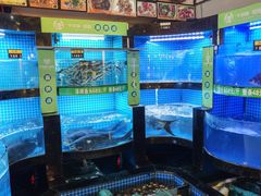 -千岛湖小鱼儿·淳安匠心农家菜