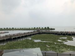 -新木器时代餐厅(太湖新天地店)