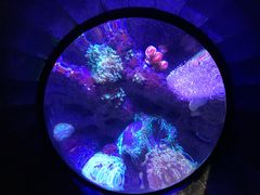 -成都浩海立方海洋公园