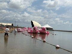 -碧海金沙