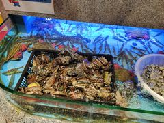 -启东恒大酒店·吕四渔号海鲜餐厅
