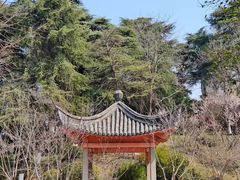 -南京古林公园