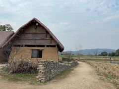 -良渚古城遗址公园