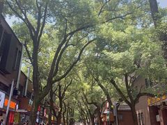 -杨裕兴(岳麓山店)