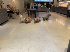 -烫面包·面包烘焙(绿地缤纷城店)