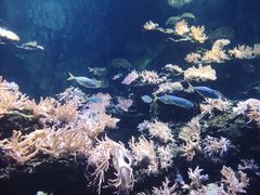 -北海·海洋之窗
